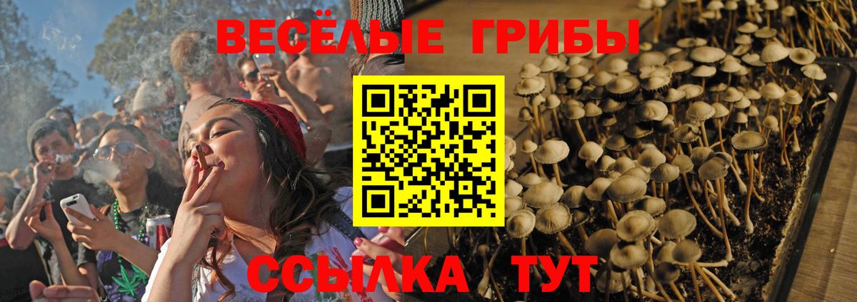 Галлюциногенные грибы ЛСД  Вход с VPN  Нягань  Галлюциногенные грибы прущие грибы 