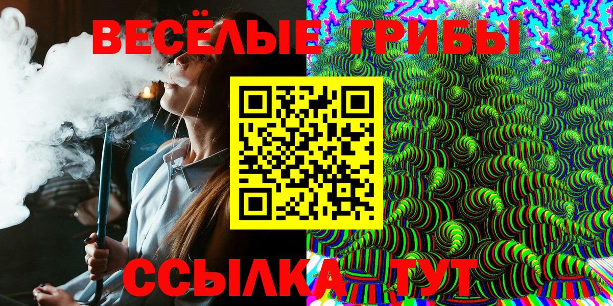 Псилоцибиновые грибы Psilocybe Нягань